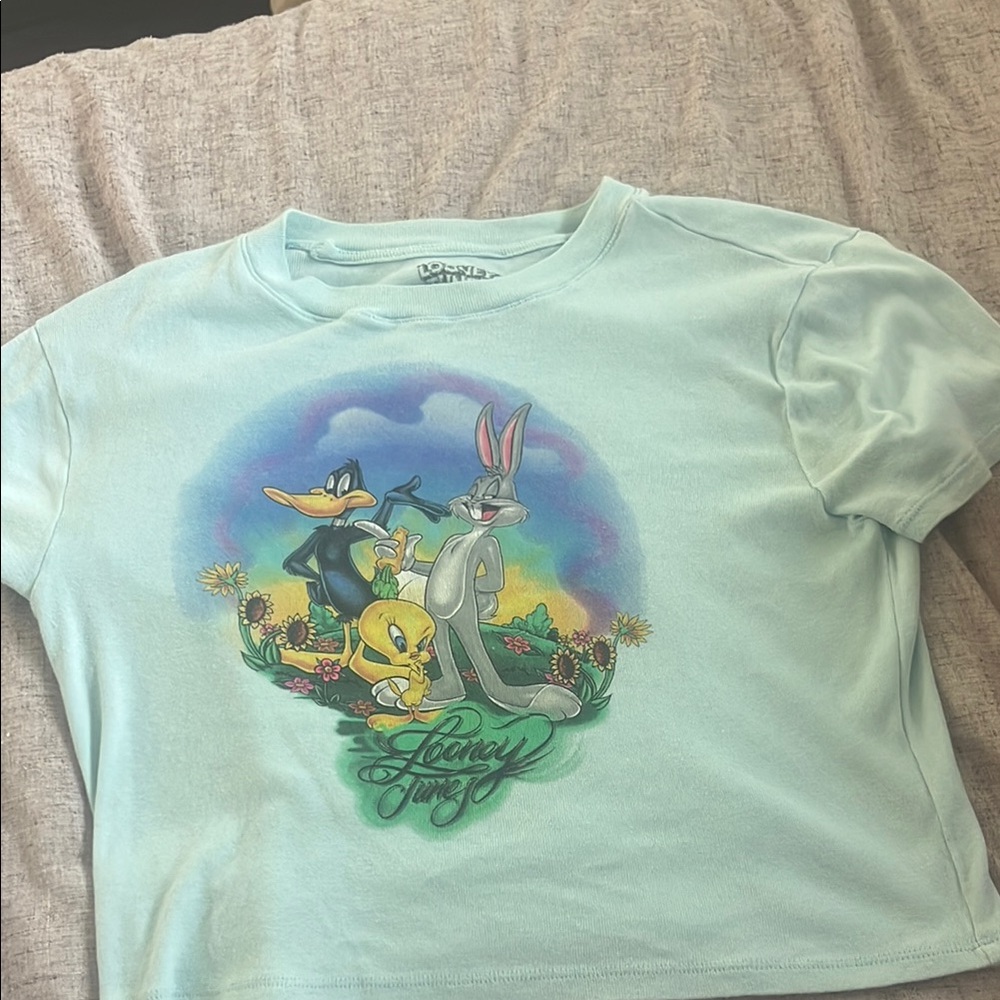 Warner Bros. Blue Short Sleeve Tee with Cartoon Graphic